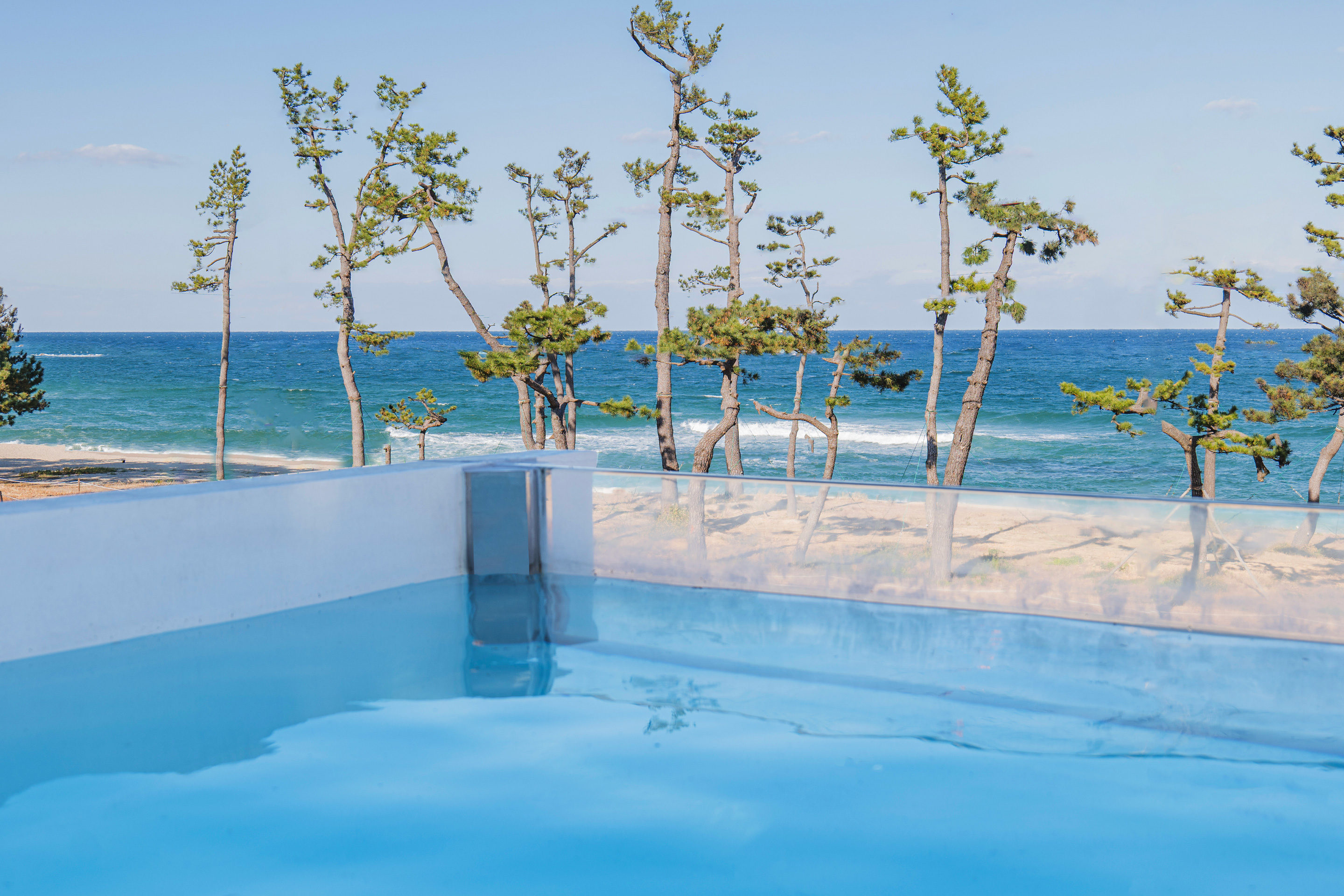 디어웨이브의 1F 가든 스위트